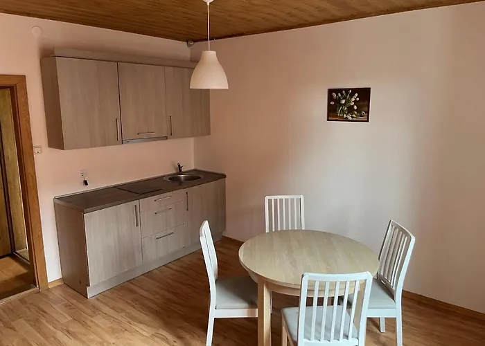 Апартаменты Apartamentai Vanagupes Rajone Паланга